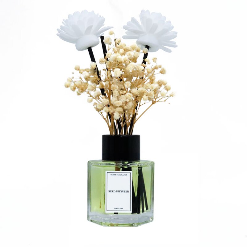 Reed Diffuser Set Manufacturer - Customizable 50ml Home Decor Fragrance