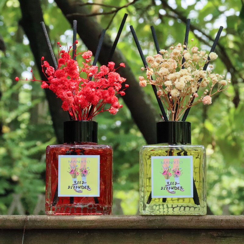 Reed Diffuser Manufacturer - Custom New Style 100ml with Arom Stick & Dried Flower