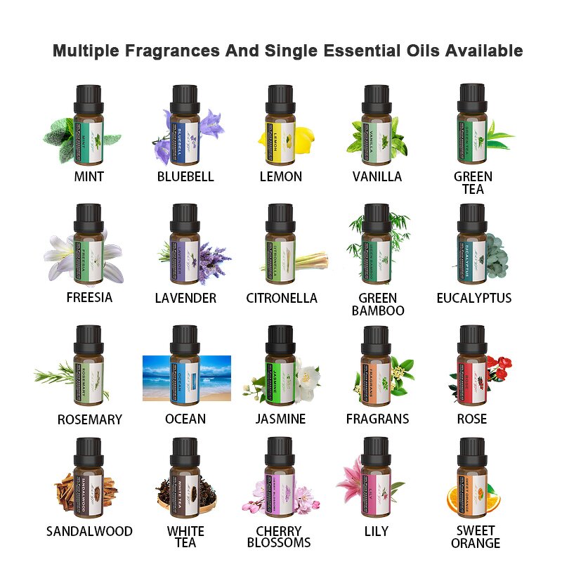 Essential Oil Manufacturer - Wholesale 10ml Plant Extract for Ultrasonic Diffuser