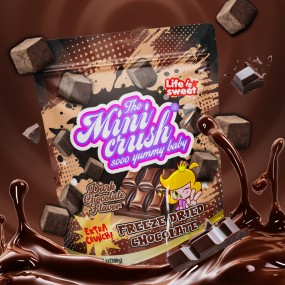 Freeze Dried Dark Chocolate Manufacturer - New Product Candy