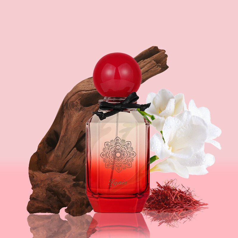 Perfume - Manufacturer Wholesale Custom Logo 100mL Dubai Arabian One-stop