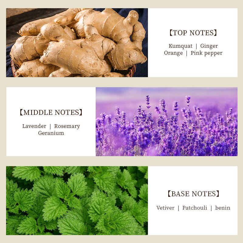 Perfume Oil - Manufacturer Wholesale 1kg Pure Concentrated Famous Brand Fragrance