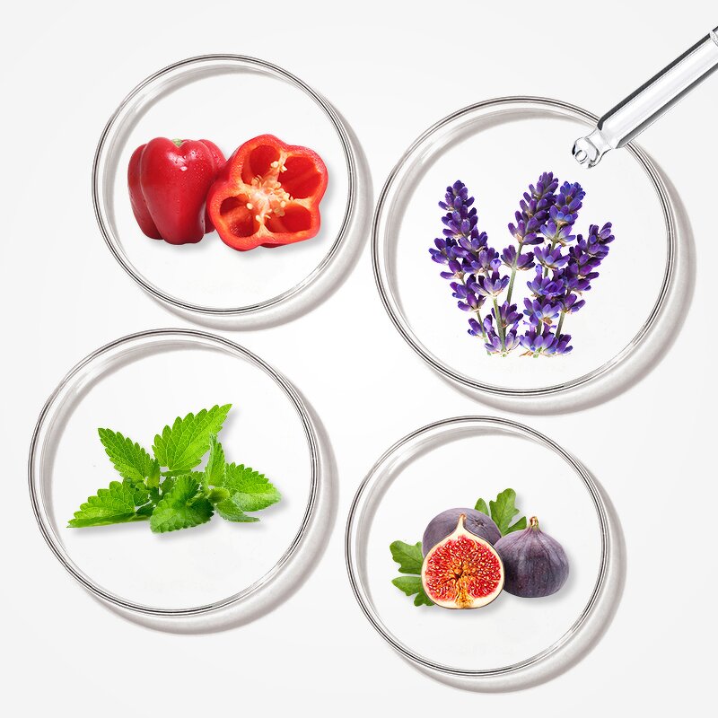 Perfume Oil - Manufacturer Wholesale 1kg Pure Concentrated Famous Brand Fragrance