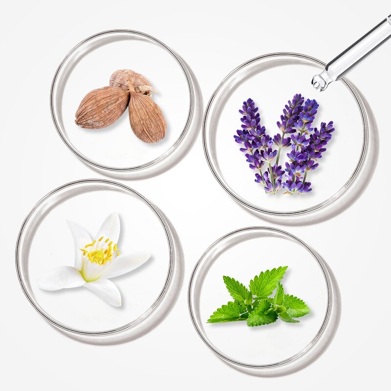 Perfume Oil - Manufacturer Wholesale 1kg Pure Concentrated Famous Brand Fragrance