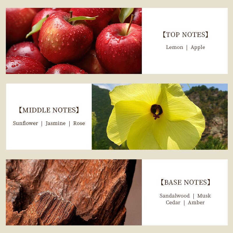 Perfume Oil - Manufacturer Wholesale 1kg Pure Concentrated Famous Brand Fragrance