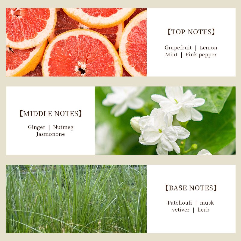 Perfume - Manufacturer Factory Wholesale 100mL European Designer Unisex Original