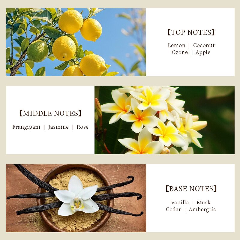 Perfume Oil - Manufacturer Wholesale 1kg Pure Concentrated Famous Brand Fragrance