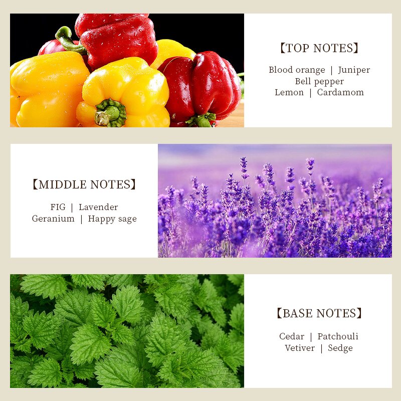 Perfume Oil - Manufacturer Wholesale 1kg Pure Concentrated Famous Brand Fragrance