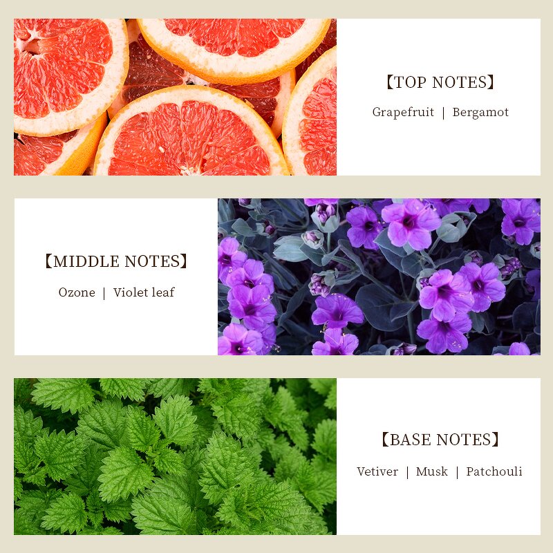 Perfume Oil - Manufacturer Wholesale 1kg Pure Concentrated Famous Brand Fragrance