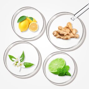 Perfume Oil - Manufacturer Wholesale 1kg Pure Concentrated Famous Brand Fragrance