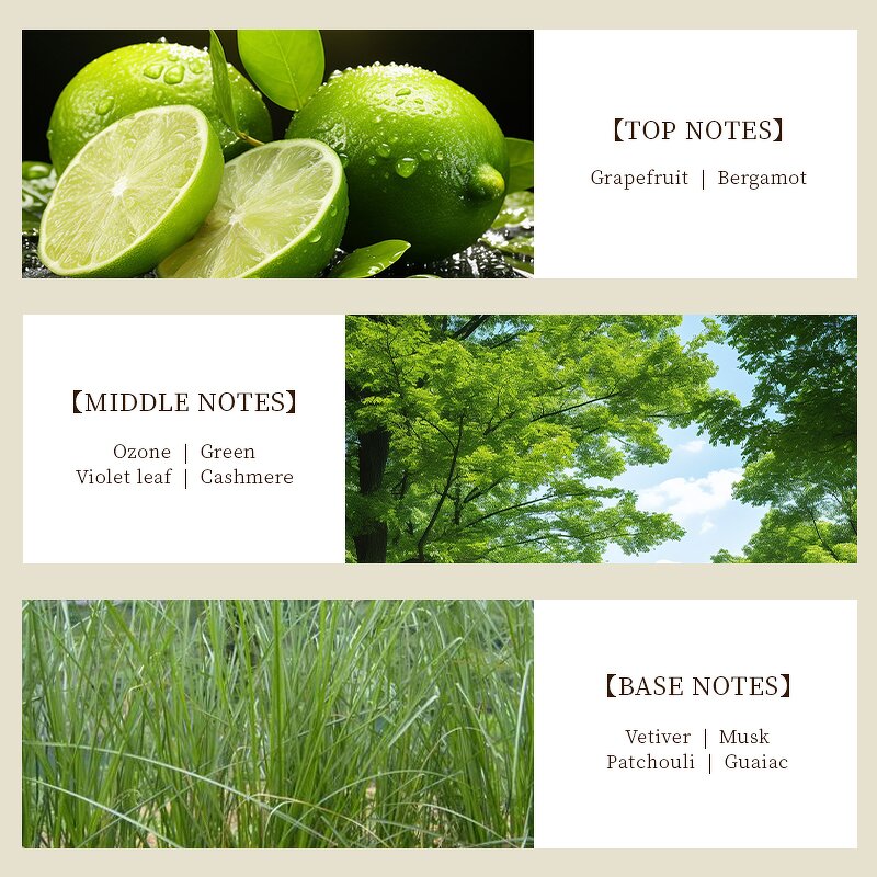 Perfume Oil - Manufacturer Wholesale 1kg Pure Concentrated Famous Brand Fragrance