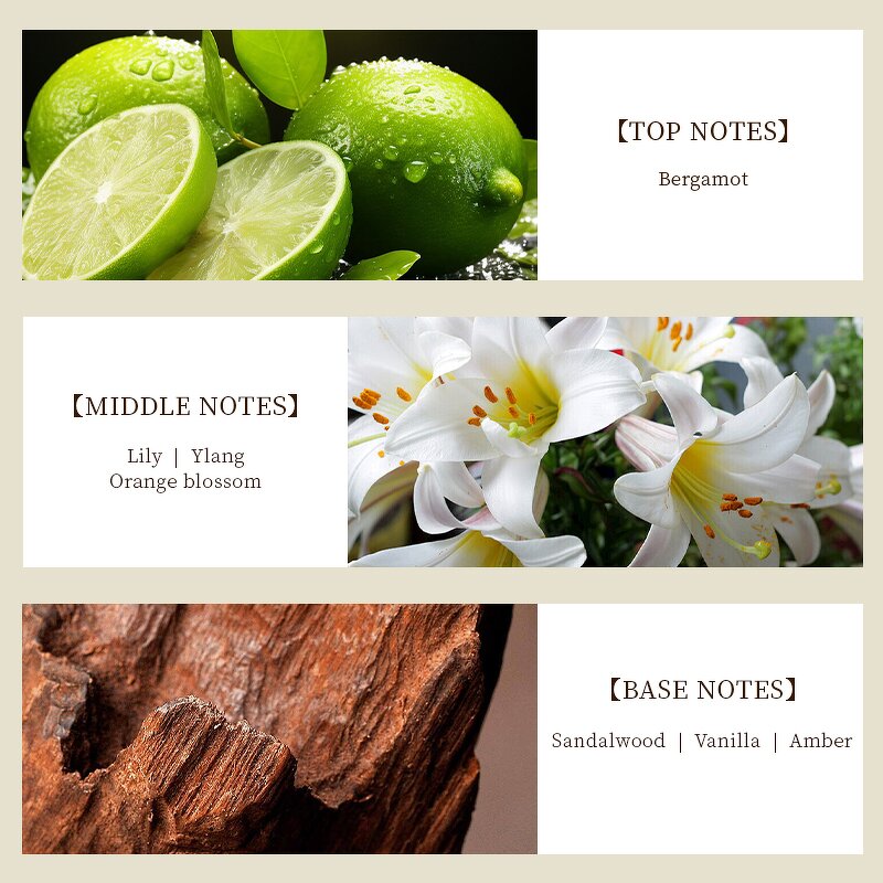 Perfume Oil - Manufacturer Wholesale 1kg Pure Concentrated Famous Brand Fragrance