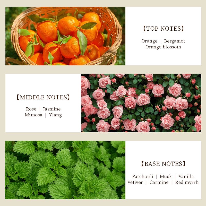 Perfume - Manufacturer Factory Wholesale 100mL European Designer Unisex Original