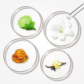 Perfume Oil - Manufacturer Wholesale 1kg Pure Concentrated Famous Brand Fragrance