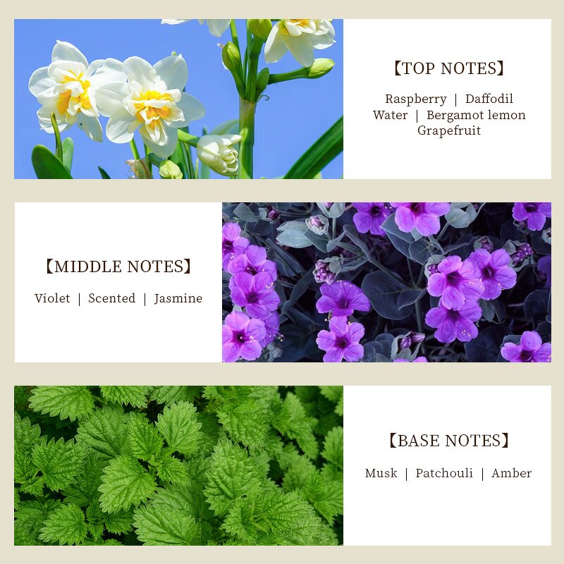 Perfume Oil - Manufacturer Wholesale 1kg Pure Concentrated Famous Brand Fragrance