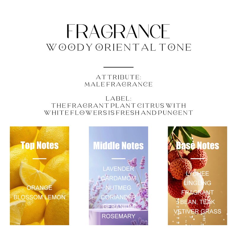 Perfume - Manufacturer 50mL Homme Collection Privée Woody Long-lasting for Men