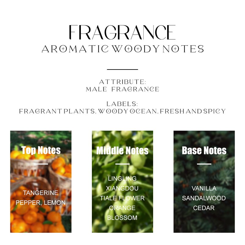 Perfume Spray - Manufacturer Wholesale 100mL Private Label Arabic Dubai Cologne for Men