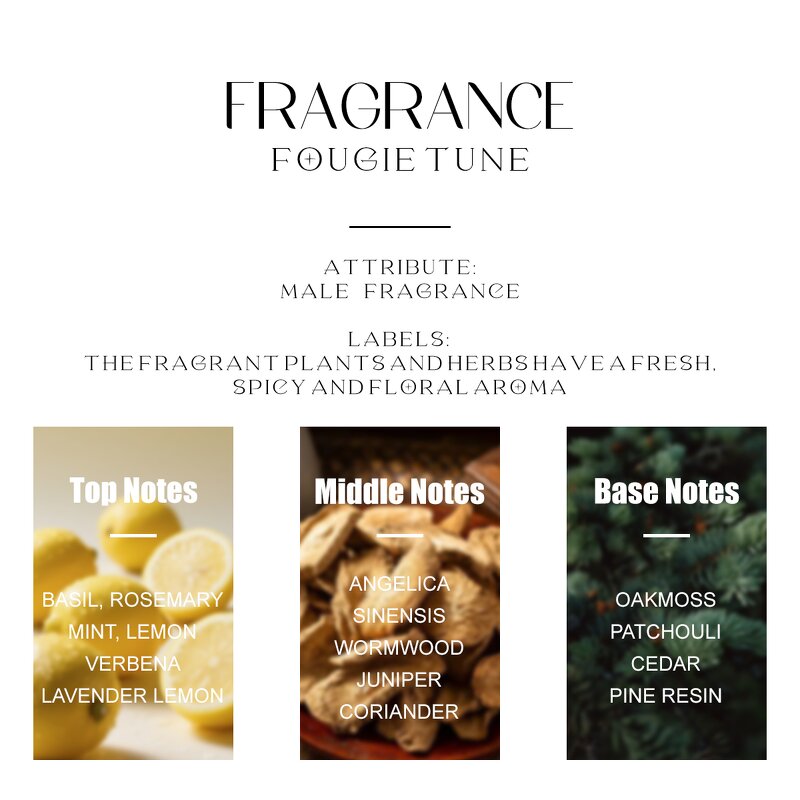 Perfume - Manufacturer Wholesale 100mL Private Label Arabic Dubai Long-lasting for Men