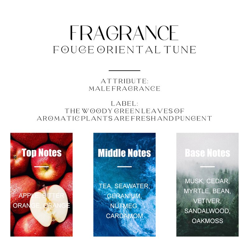 Perfume EDP - Manufacturer OEM 50mL High Quality Long-lasting Original Brand for Men