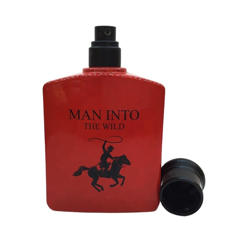 Perfume - Manufacturer Wholesale High-end Brand Long-lasting Spray for Men