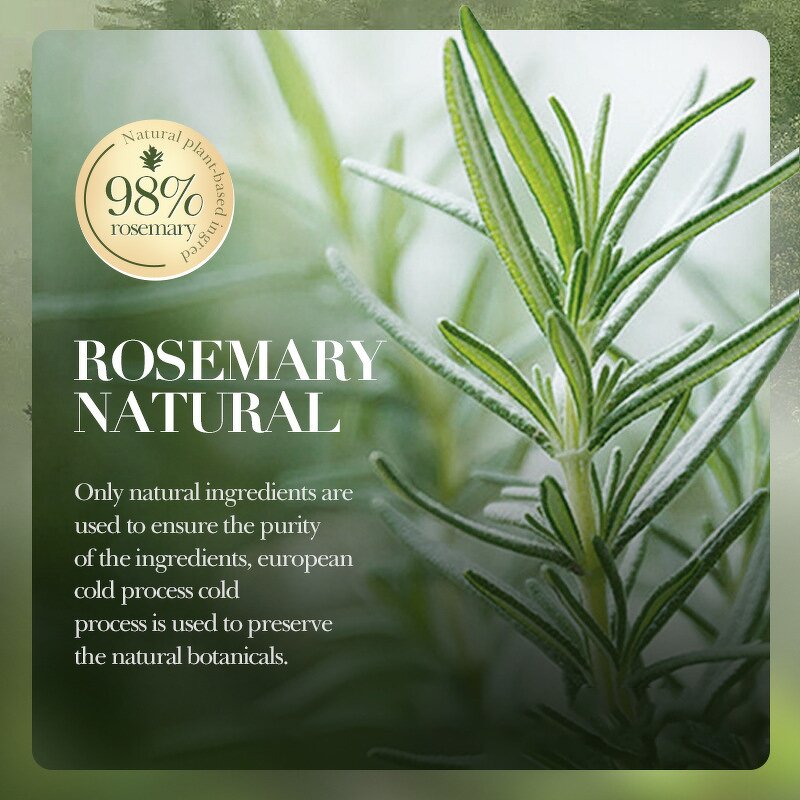 Shampoo - Manufacturer Rosemary Dandruff Oil Control Fluffy Smooth