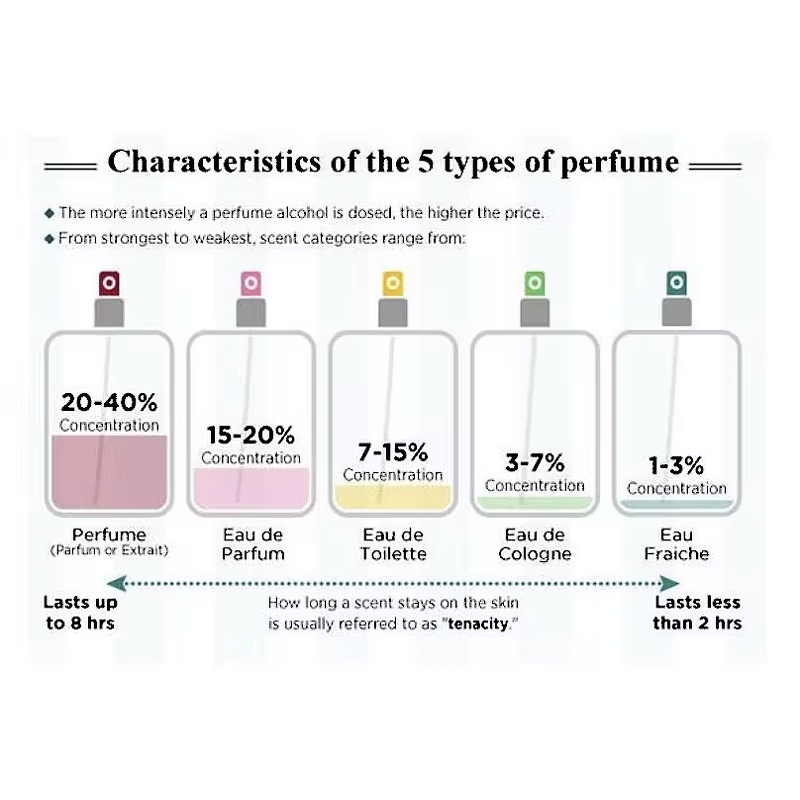 Perfume EDP - Manufacturer 50mL Wood Tone Long-lasting Neutral The One for Men