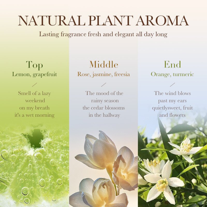 Body Scrub - Manufacturer Turmeric Antioxidant Universal Body Cleansing Scrub