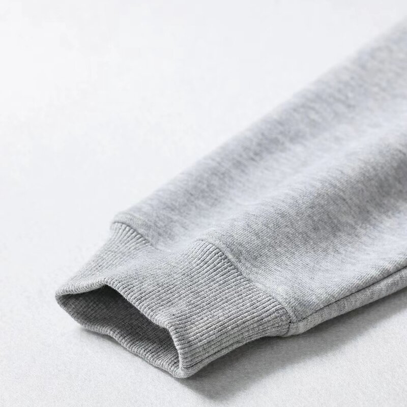 Hoodie - Manufacturer 100%Cotton 450gsm Puff Printing Y2K Casual Men