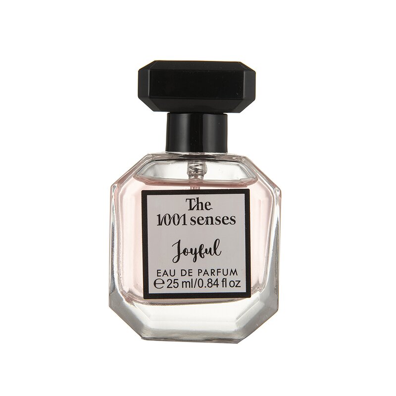 Gift Set Manufacturer - Wholesale Private Label Christmas EDT and Lotion Set EXTREME 2025