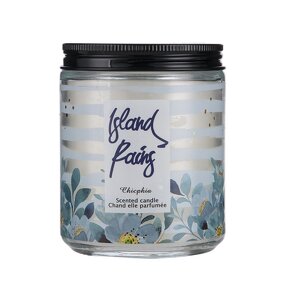 Scented Candle Manufacturer - OEM ODM 200g Perfumed Island Rains