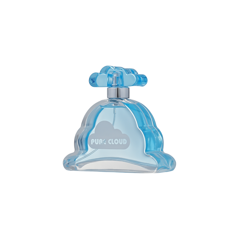 Perfume - Manufacturer 100mL Private Label Floral New Arrival Original for Women