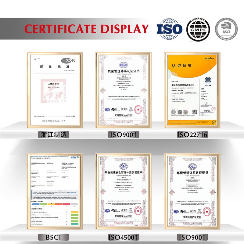 Deodorant Spray - Manufacturer 250mL Sports Antiperspirant Custom Logo Packaging