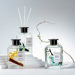 Reed Diffuser - Manufacturer Luxury Private Label Glass Bottle Home Fragrance Daily