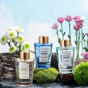 Air Freshener - Manufacturer OEM/ODM Liquid Long Lasting Fragrance Deodorant Wholesale