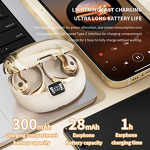 AI Translator Earphone