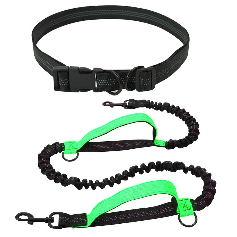 Dog Leash - Manufacturer Dual Handle Nylon Stormproof Elastic Pet Running Outdoor Waist Belt