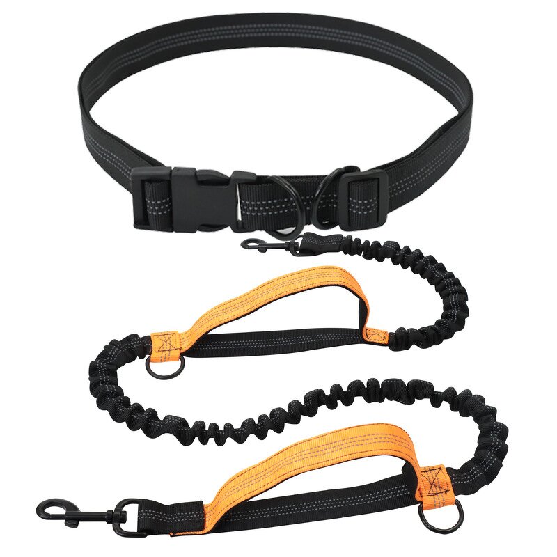 Dog Leash - Manufacturer Dual Handle Nylon Stormproof Elastic Pet Running Outdoor Waist Belt