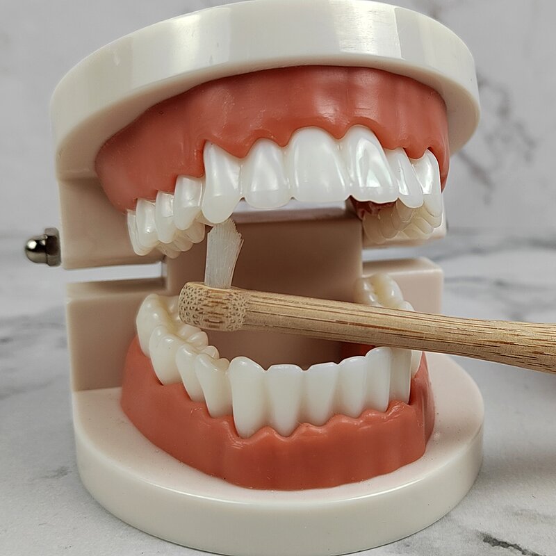 Toothbrush - Manufacturer Bamboo Orthodontic Ultra-Soft Thin Head for Braces Wearers