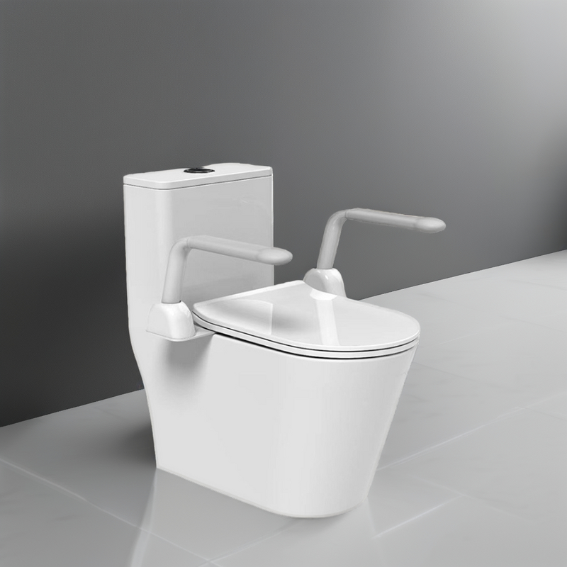 Toilet Handrail Manufacturer - Punch-Free Armrest to Assist Standing