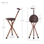 Mobility assistance product