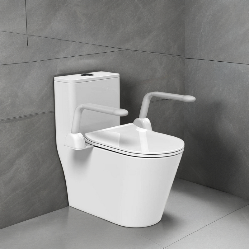 Toilet Handrail Manufacturer - Punch-Free Armrest to Assist Standing