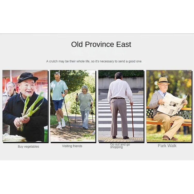 Rollator Manufacturer - Elderly Standing Walker with Comfortable Hand