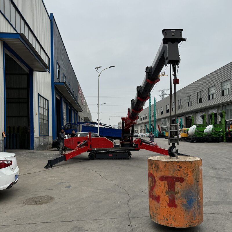 Spider Crane - Manufacturer 8Ton High Quality Factory Direct CE Engine Construction