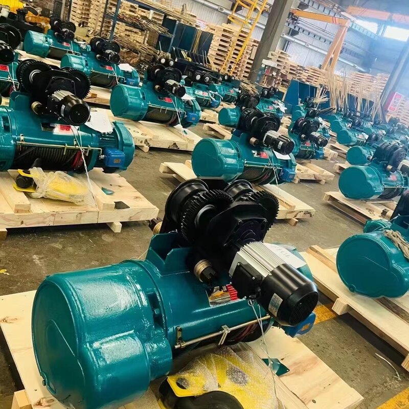 Electric Hoist - Manufacturer 2Ton Building Crane Stainless Steel 12m Lifting