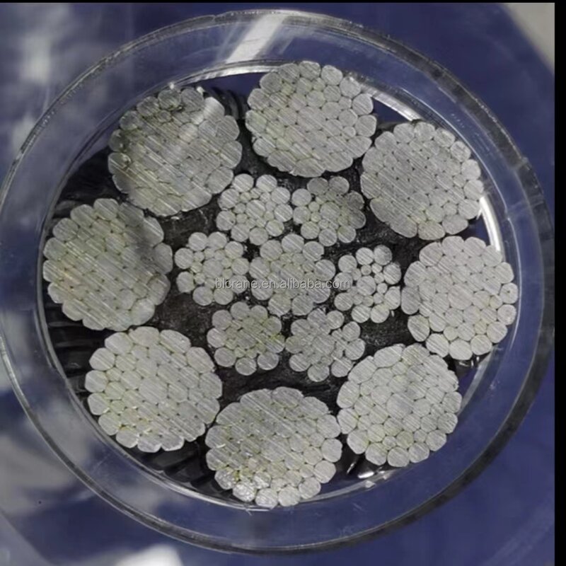 Electric Hoist - Manufacturer CD MD Explosion-proof 2-5Ton Wire Rope Chain