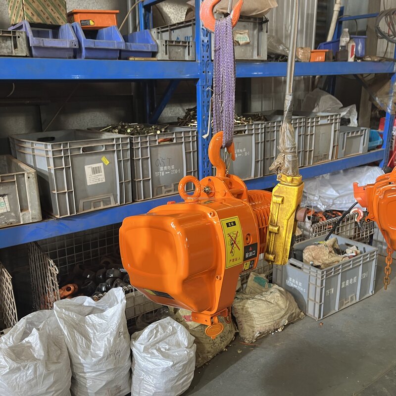 Electric Chain Hoist - Manufacturer 1-2Ton CE Steel Overload Slipping Clutch