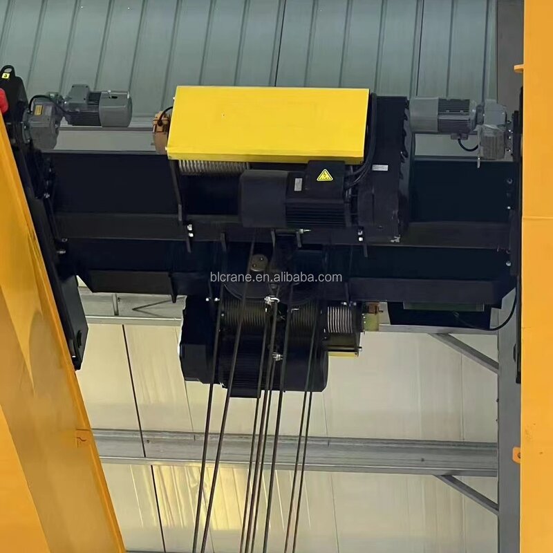 Electric Hoist - Manufacturer 2-10Ton European Low Headroom Double Brake
