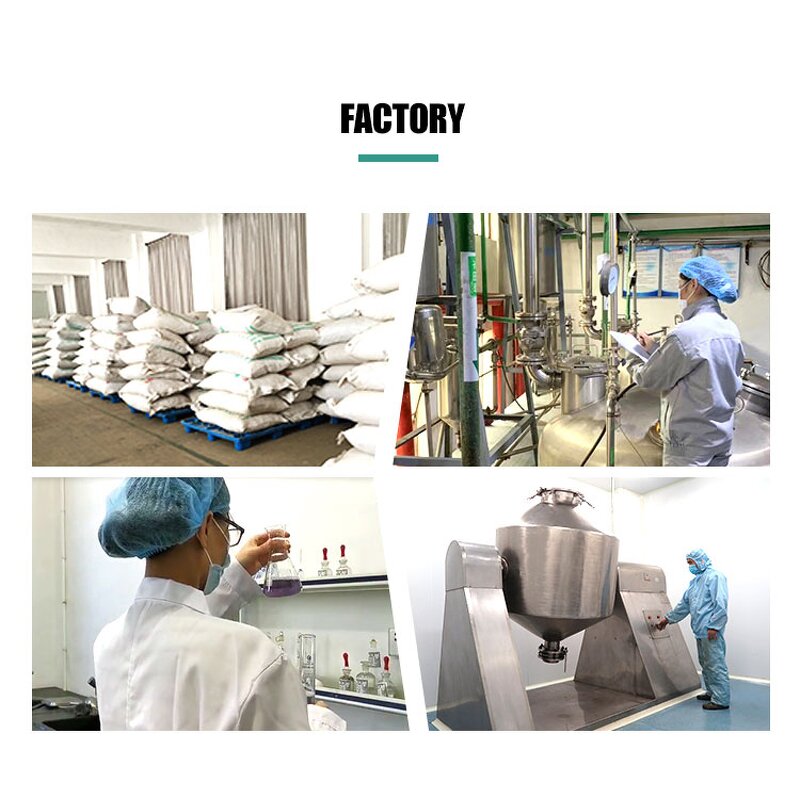 Lactobacillus Rhamnosus - Manufacturer Freeze Dried Probiotics Pure Powder