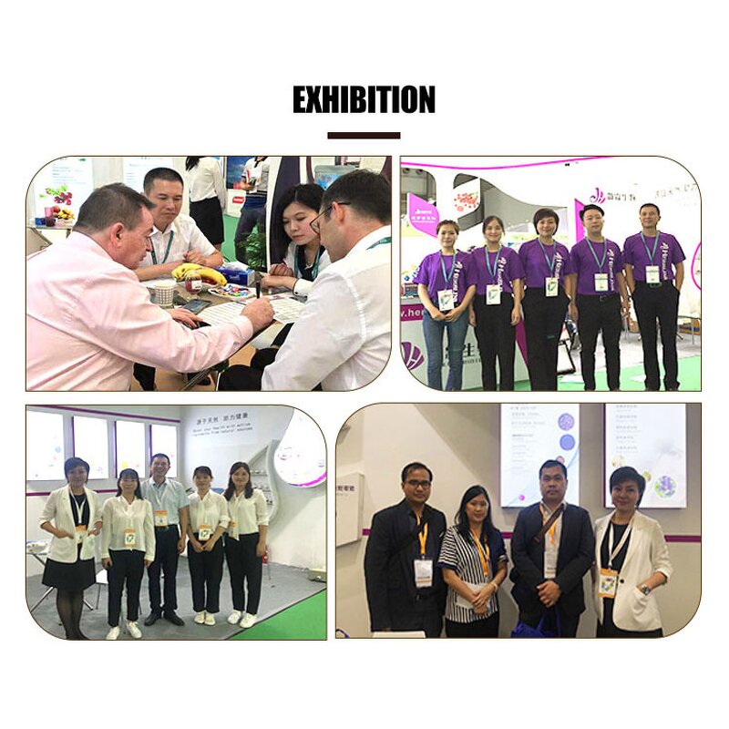 Monk Fruit Extract - Manufacturer 25%-50% Mogroside V Bulk Sweetener