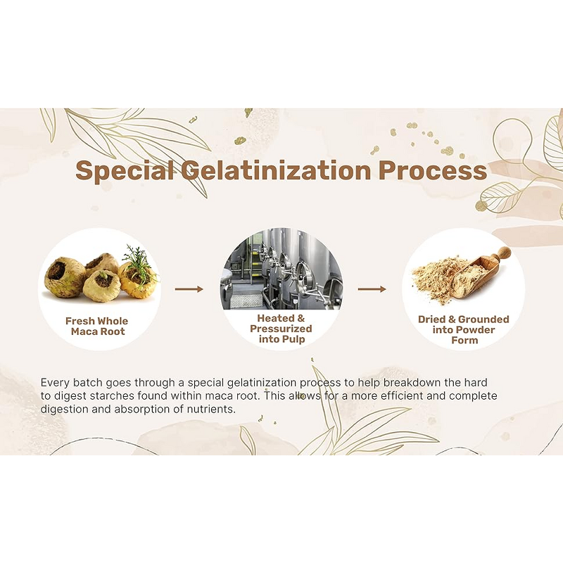 Maca Powder - Manufacturer Natural Black Root Extract Organic Pure Powder